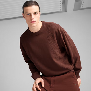 Sudadera Hombre Puma Palais Artisan Chocolate